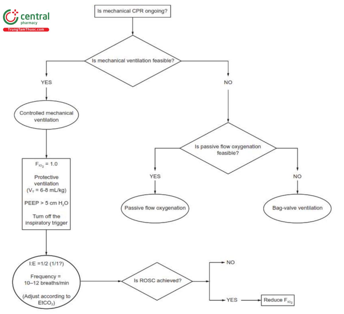 Hình 2. Đề xuất thuật toán vận hành cho thông khí cơ học xâm lấn trong quá trình CPR cơ học. CPR = hồi sức tim phổi; VT = thể tích khí lưu thông; I:E = tỷ lệ hít vào thở ra; ROSC = sự trở lại của tuần hoàn tự phát, PETCO₂ = áp lực carbon dioxide cuối thì thở ra.