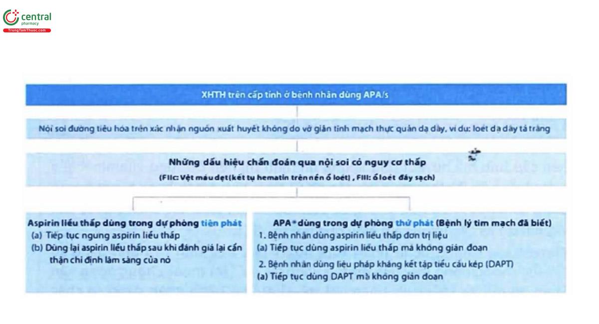 b. Những dấu hiệu chẩn đoán qua nội soi có nguy cơ thấp