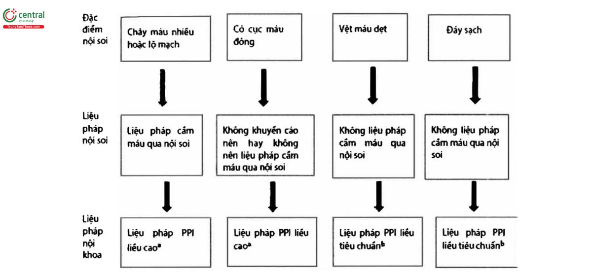 Hình 2. Nội soi và điều trị nội khoa ổ loét chảy máu dựa trên các đặc điểm nội soi của ổ loét.