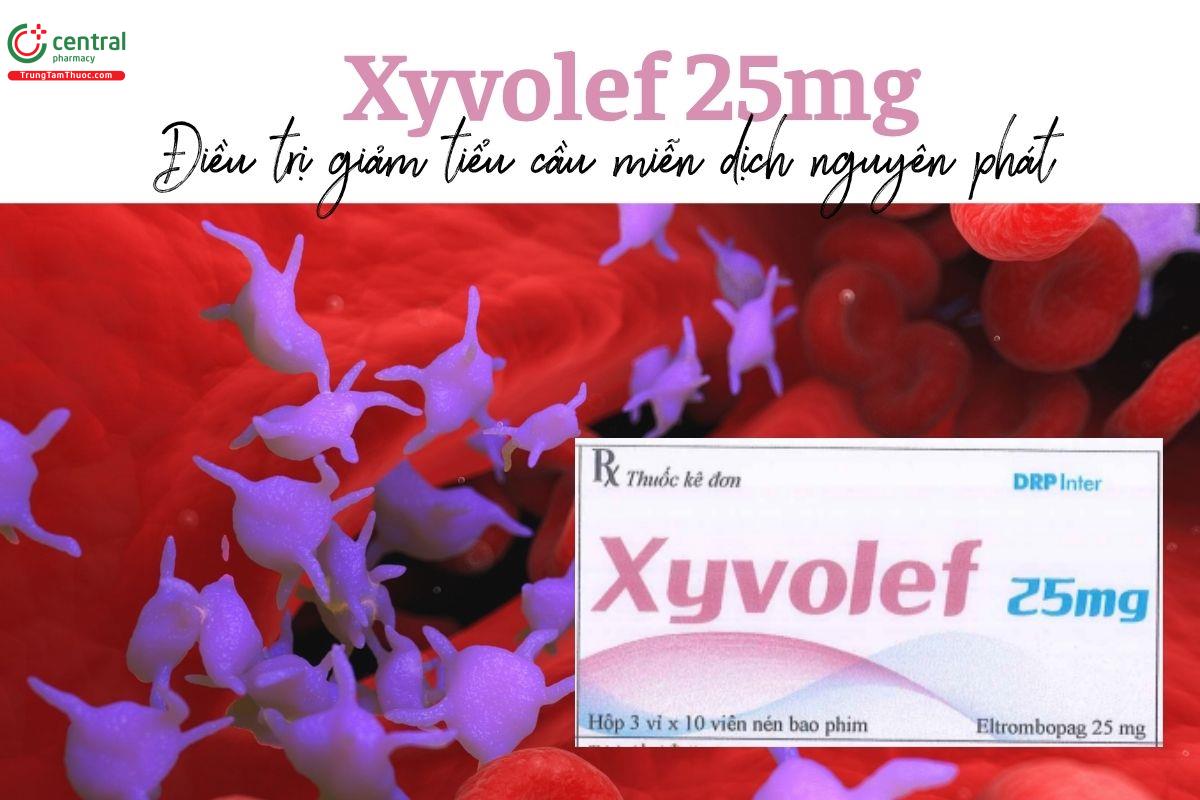 Thuốc Xyvolef 25mg - Điều trị giảm tiểu cầu miễn dịch nguyên phát 