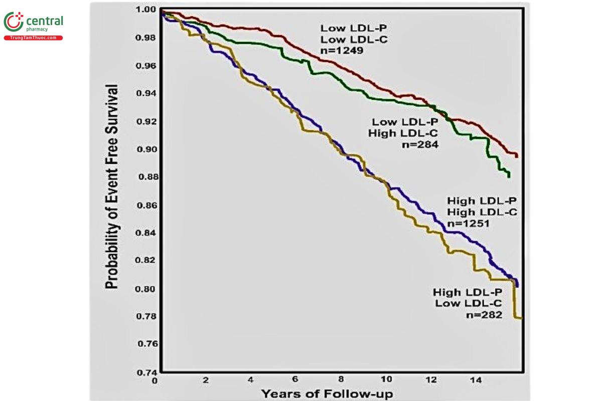 Hình 2. Tỉ lệ sống sót không có biến cố giữa 4 nhóm: (1) LDL-P thấp và LDL-C  thấp (đỏ), (2) LDL-P thấp và LDL-C cao (xanh lá cây), (3) LDL-P cao và LDL-  C cao (xanh dương) và (4) LDL-P cao và LDL-C thấp (vàng) [3]. Có thể thấy ở  2 nhóm có sự bất tương xứng LDL-P và LDL-P (xanh lá cây và vàng) thì tỉ lệ  sống còn không có biến cố tương quan với LDL-P chứ không phải LDL-C.
