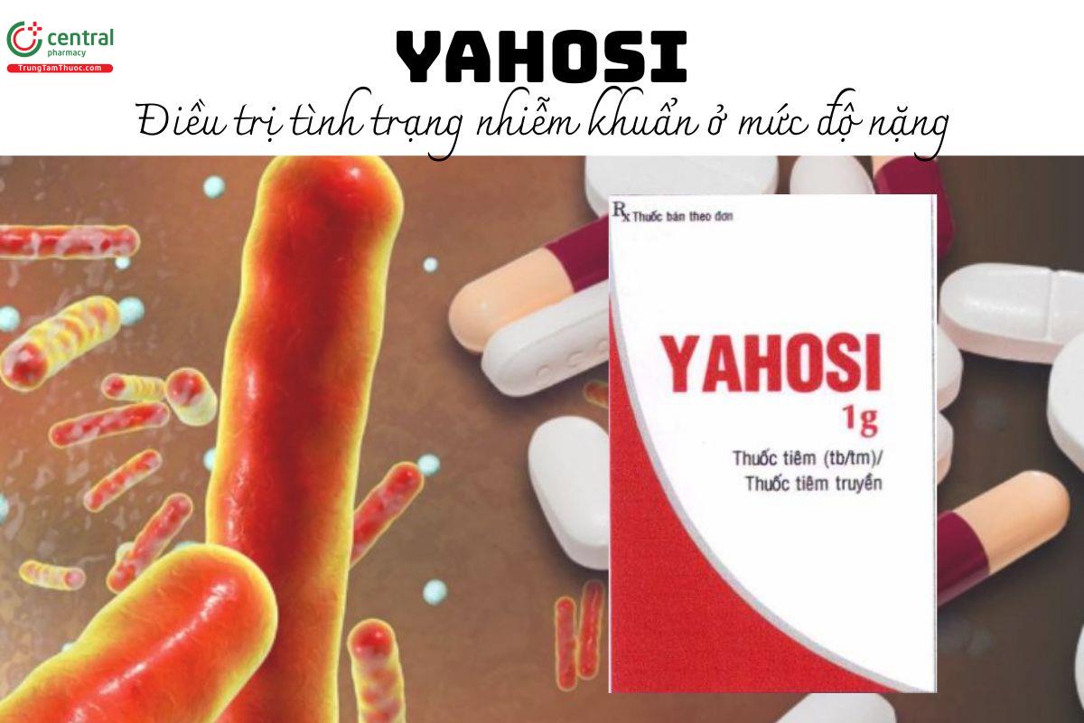 Thuốc Yahosi - Điều trị tình trạng nhiễm khuẩn ở mức độ nặng
