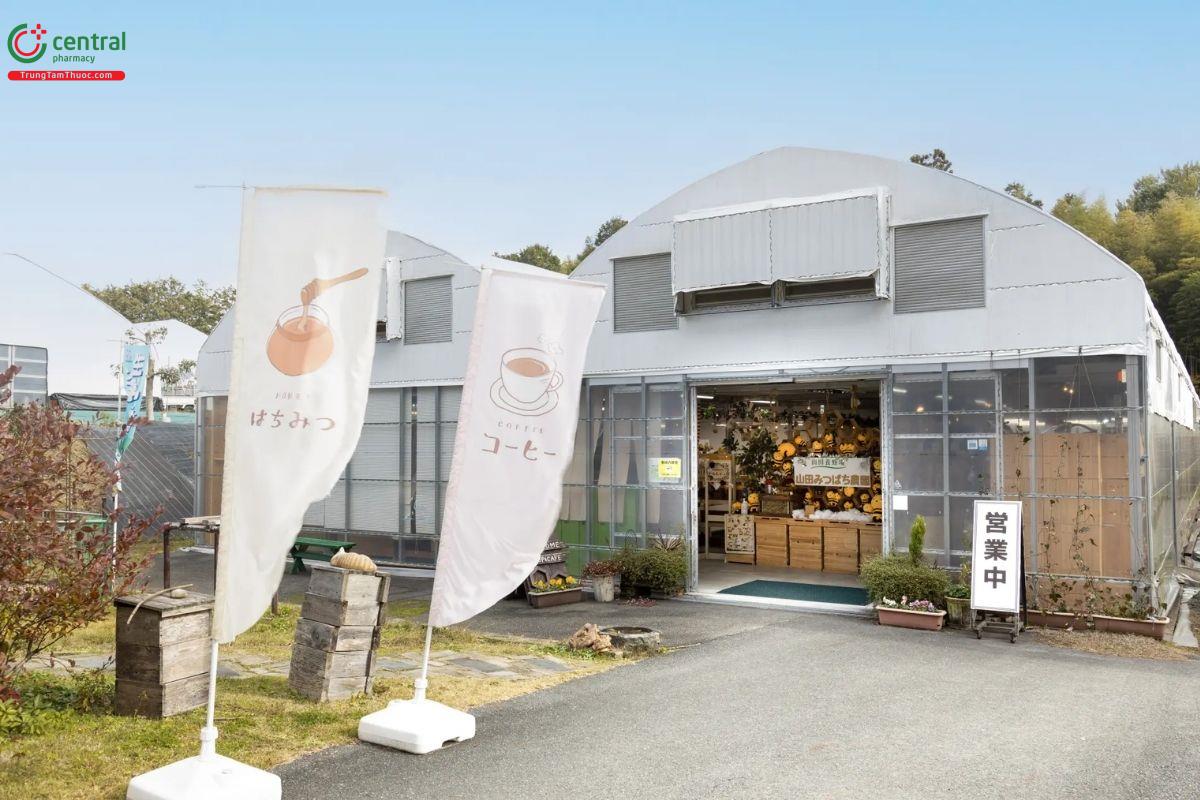 Yamada Bee Farm, Inc - Khởi nguồn từ nghề nuôi ong tại Nhật Bản