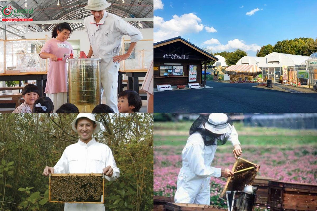 Phát triển thương hiệu nhờ đẩy mạnh nghiên cứu và ứng dụng khoa học