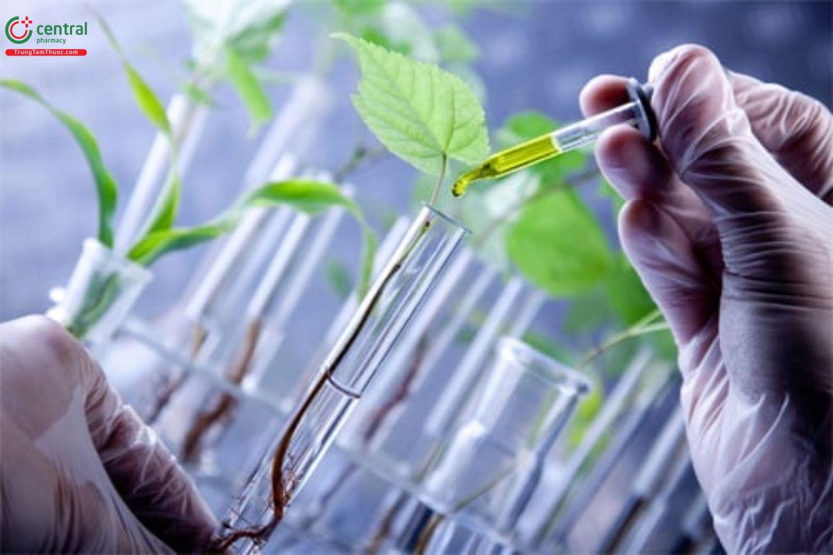 Ying Yuan Chemical Pharmaceuticals là một công ty dược phẩm uy tín tại Đài Loan