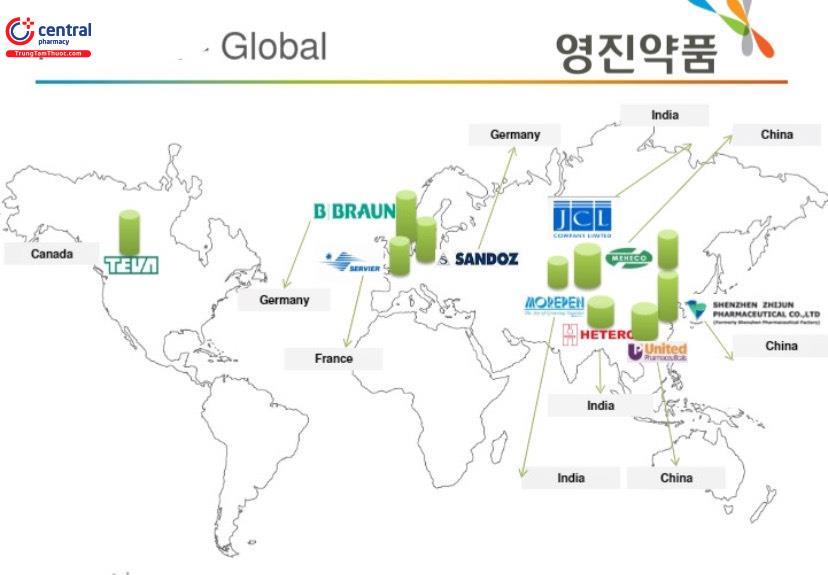 Mạng lưới kinh doanh quốc tế của Yungjin