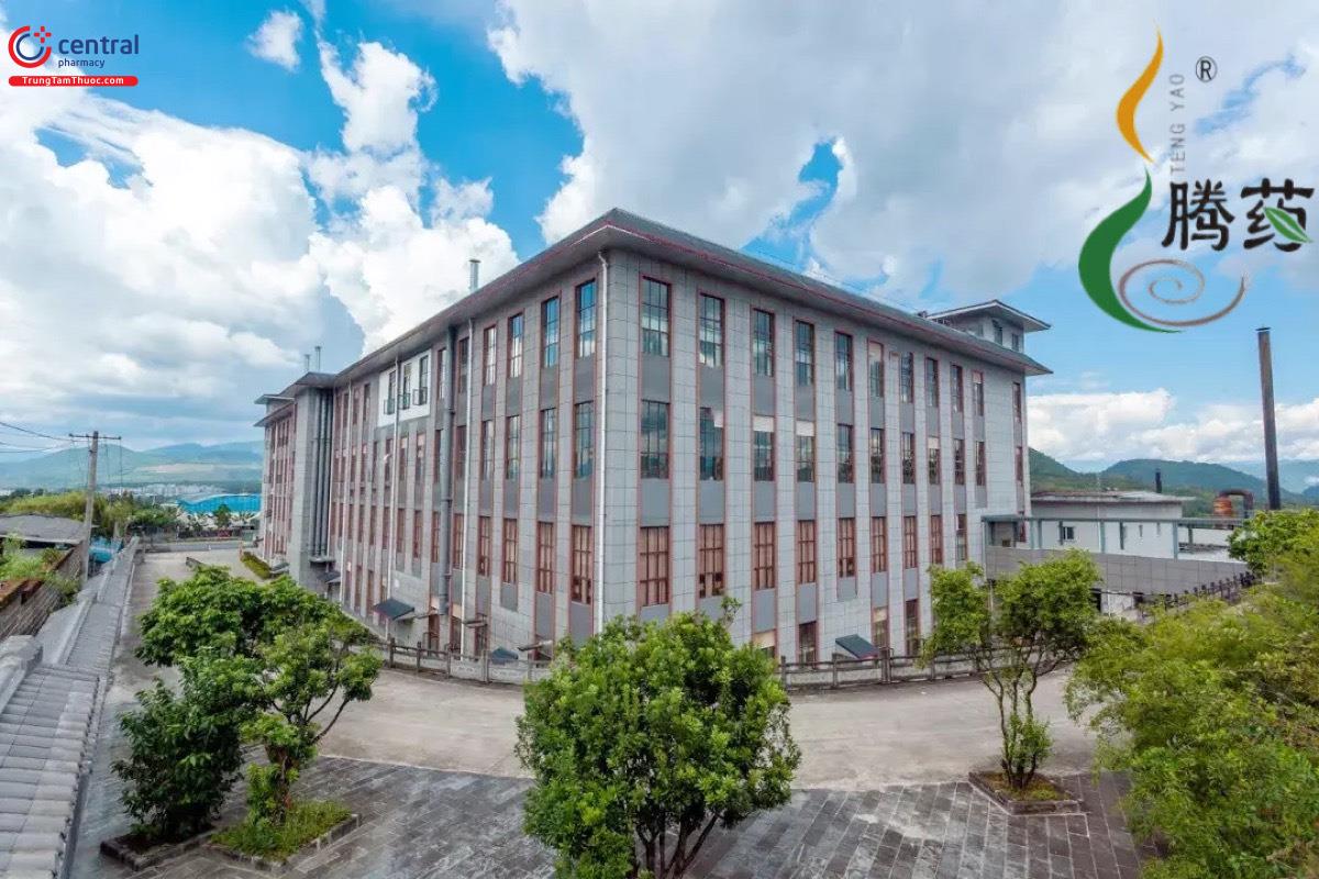 Nhà máy Yunnan Tengyao Pharmaceutical