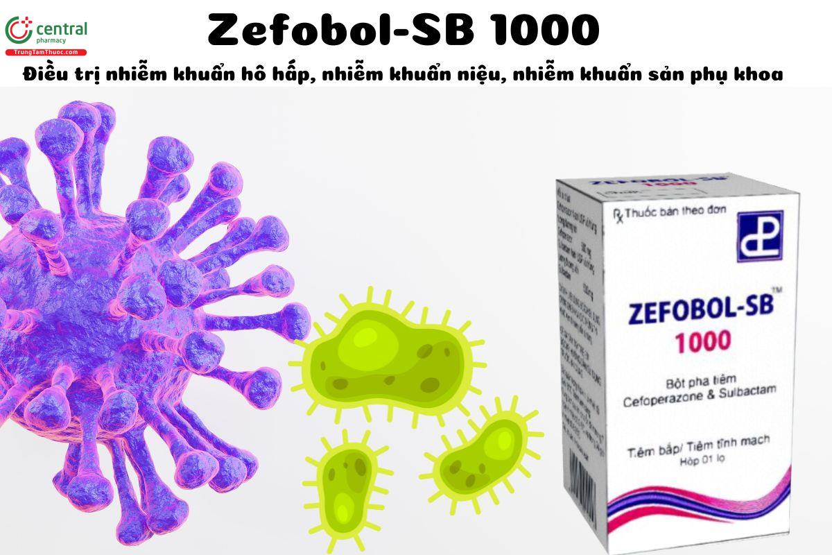 Thuốc Zefobol-SB 1000 - điều trị nhiễm khuẩn hô hấp, tiết niệu, phụ khoa