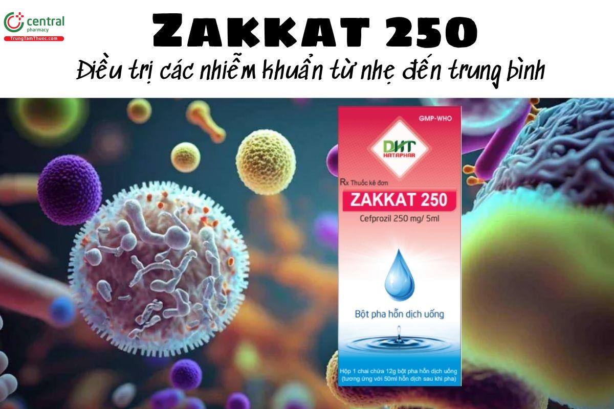 Thuốc Zakkat 250 - Điều trị các nhiễm khuẩn từ nhẹ đến trung bình 