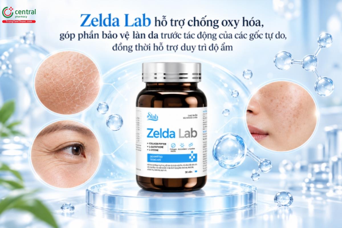 Zelda Lab hỗ trợ chống oxy hóa, góp phần bảo vệ làn da trước tác động của các gốc tự do, đồng thời hỗ trợ duy trì độ ẩm