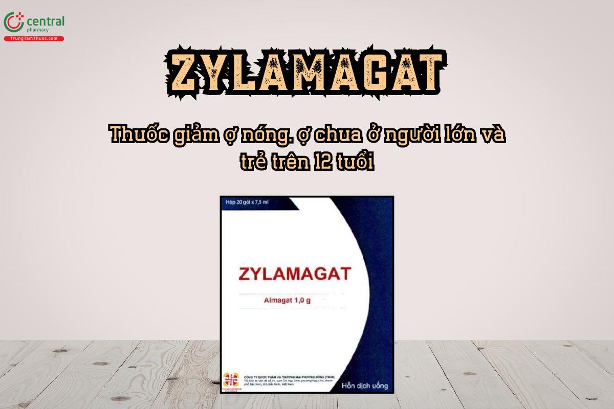Zylamagat 1g giảm ợ nóng, ợ chua ở người lớn và trẻ trên 12 tuổi