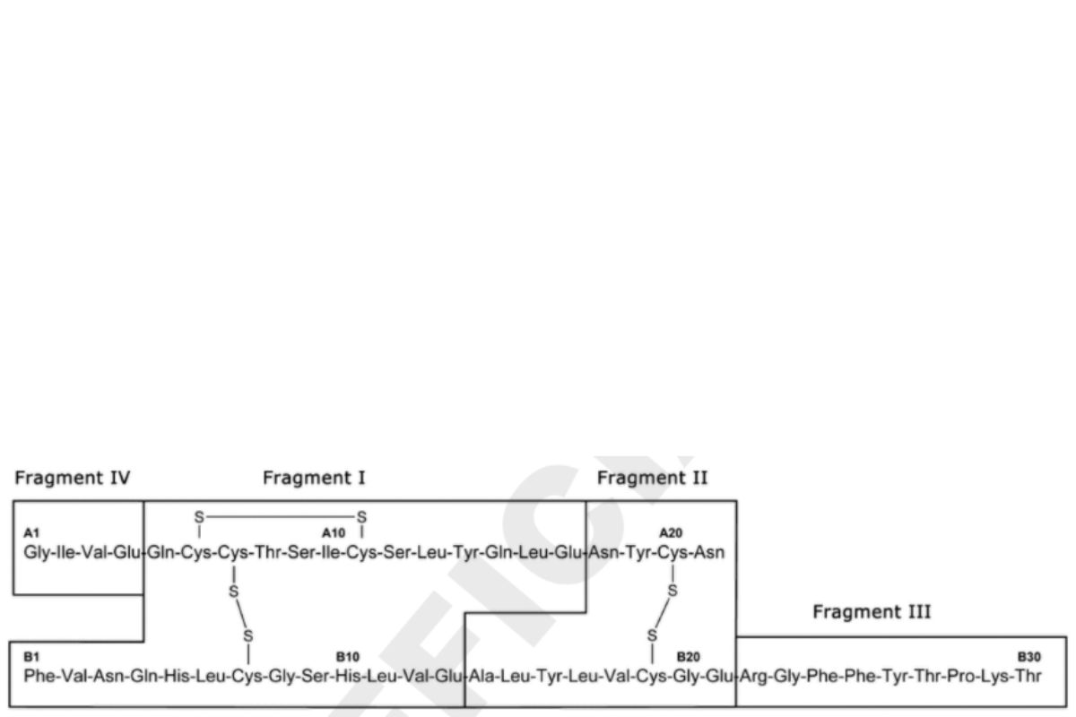 Hình 1. Insulin người: Các mảnh phân giải bởi protease V8 của S. aureus.