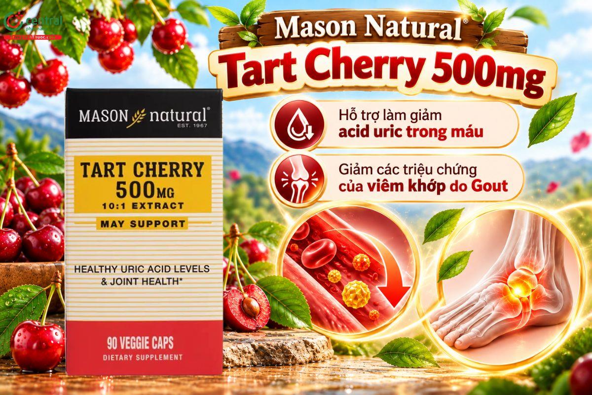 Mason Natural Tart Cherry 500mg hỗ trợ giảm acid uric, giảm triệu chứng Gout