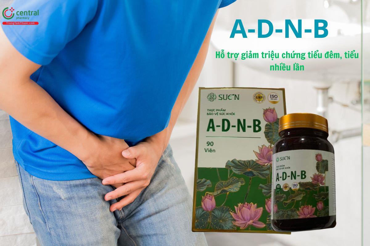A-D-N-B giảm triệu chứng tiểu đêm, tiểu nhiều lần do thận yếu