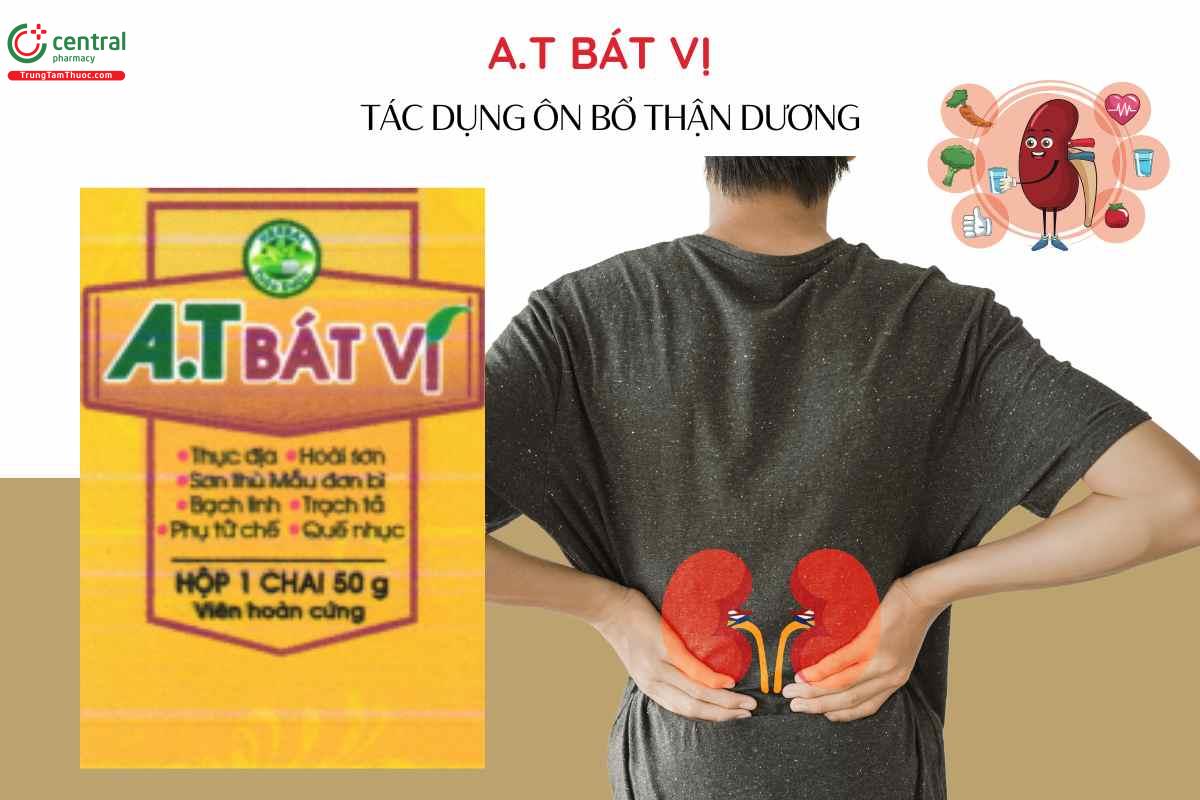 Chỉ định Thuốc A.T Bát vị