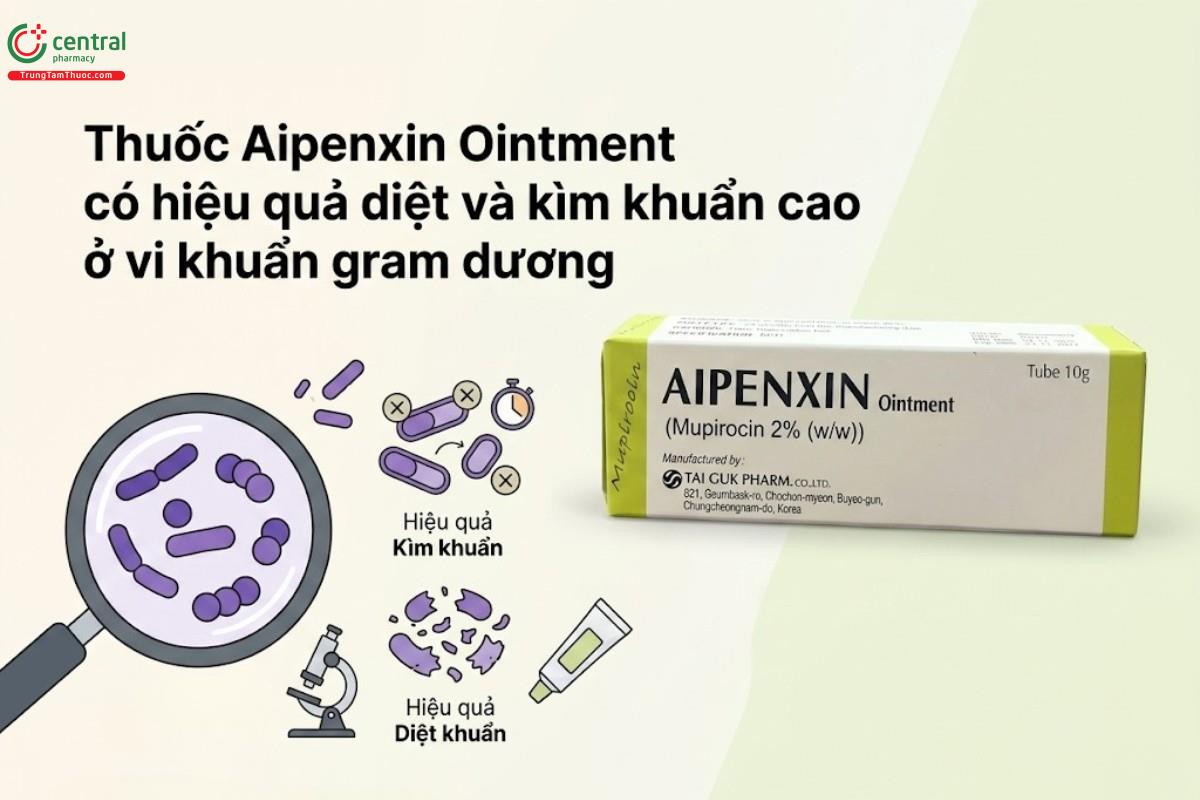 Thuốc Aipenxin Ointment có hiệu quả diệt và kìm khuẩn cao ở vi khuẩn gram dương
