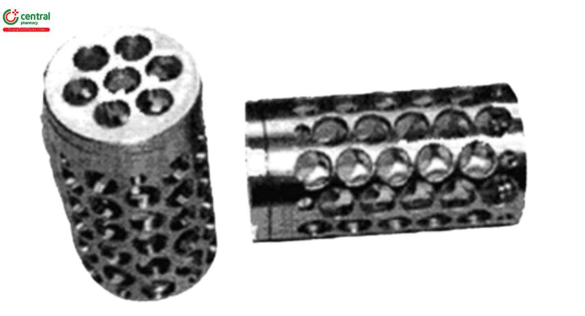 Figure 1. 37.5-mm (l) × 20-mm (d) stainless steel cylinders are used as sample holders. The cylinders contain screw caps drilled with seven 4.5-mm holes. Seven 4.5-mm holes are drilled in the bottom, and 12 longitudinal series of ve 5-mm holes are drilled on the cylinders, alternatively starting and ending with one 1.7-mm hole.