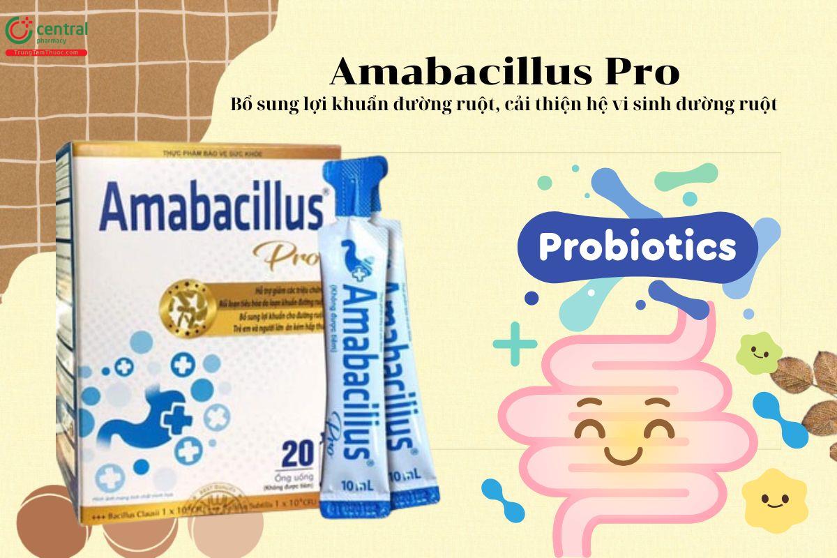 Amabacillus Pro - Bổ sung lợi khuẩn, giúp hệ tiêu hóa khỏe mạnh