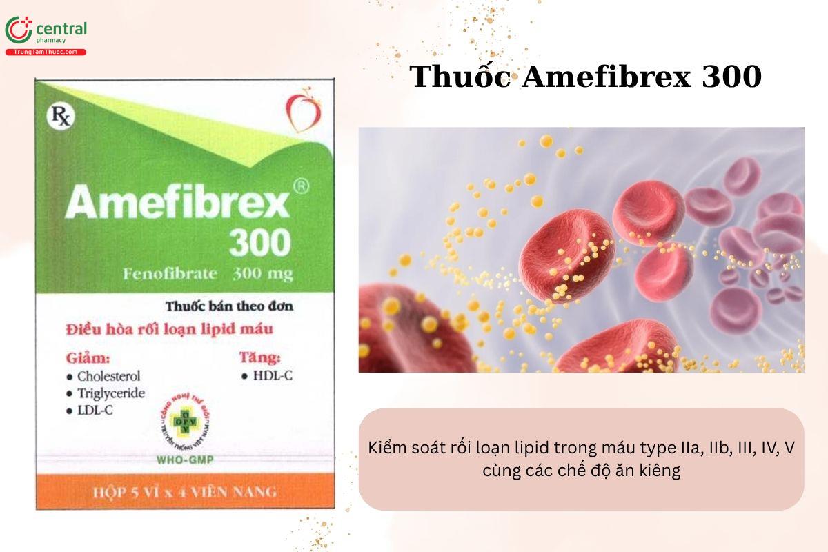 Chỉ định của thuốc Amefibrex 300