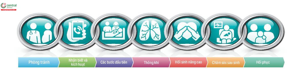 Hình 5. Dây chuyền chăm sóc trẻ sơ sinh.