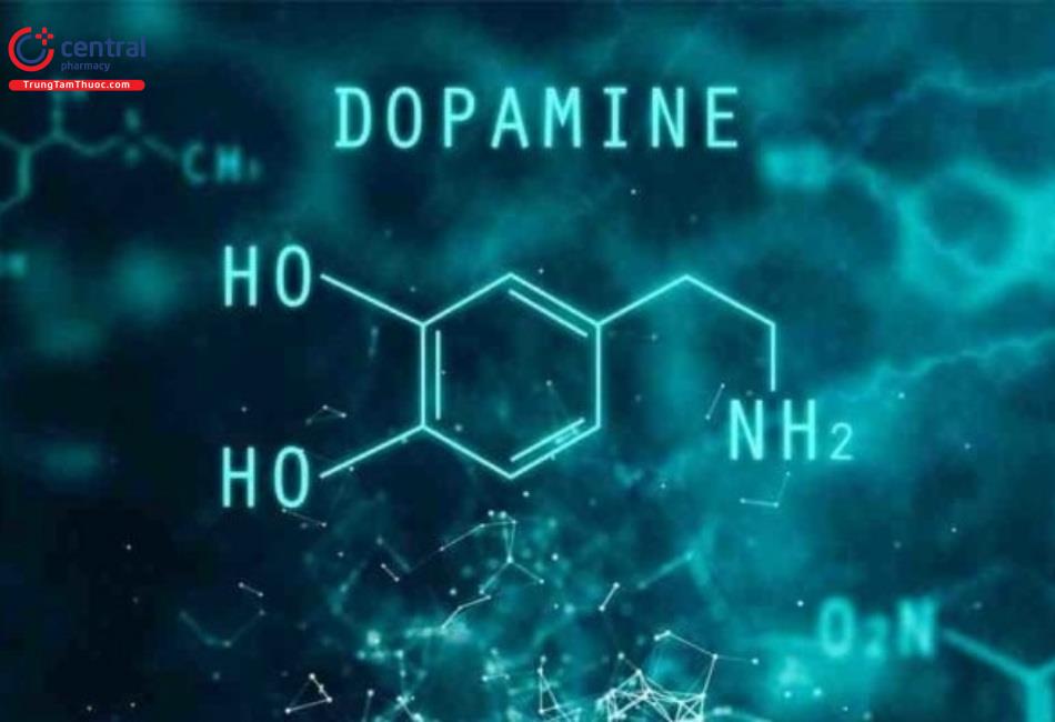 Amisulpride có hoạt tính đối kháng thụ thể dopamin D2 và D3 chọn lọc