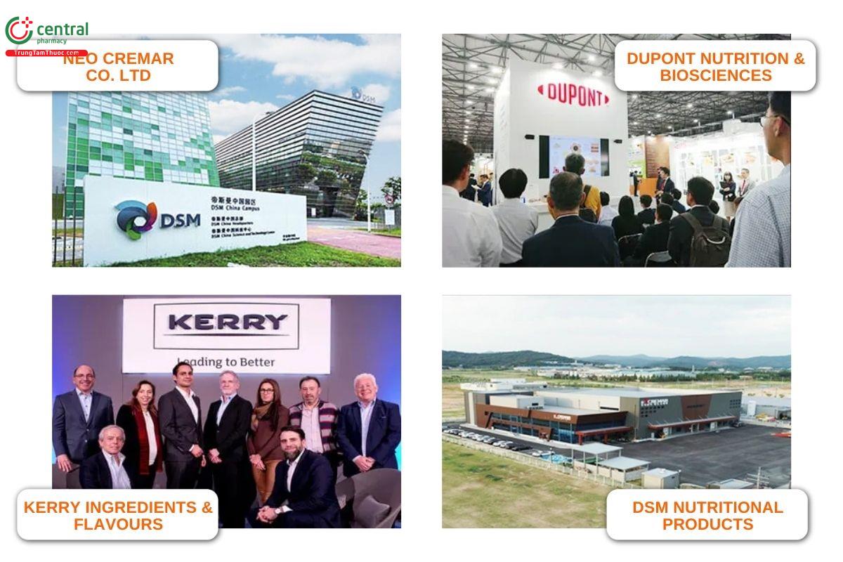 Các đối tác chiến lược của AMM-Germany