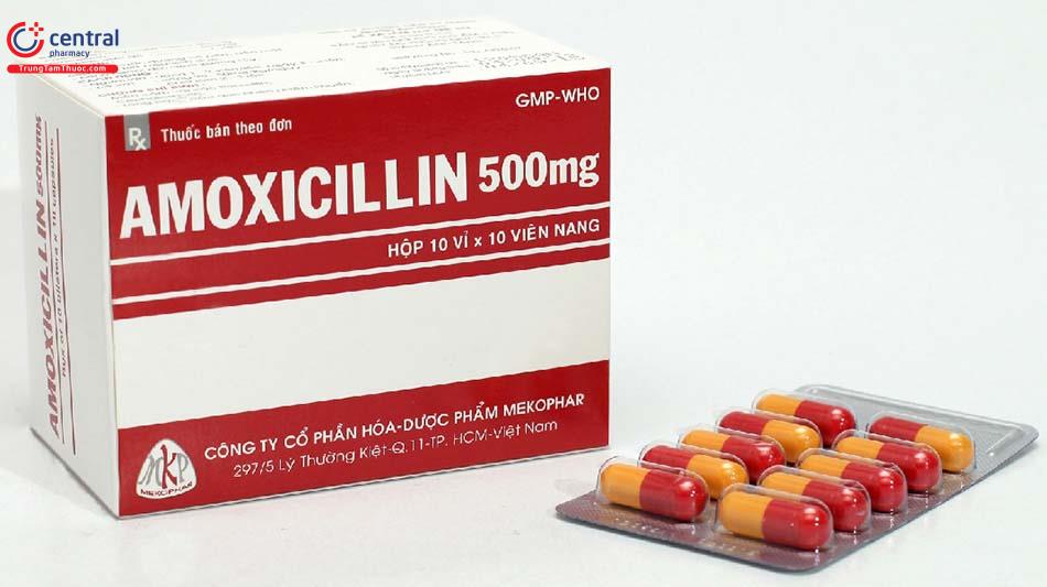 Hình ảnh Amoxicillin 500mg Mekophar
