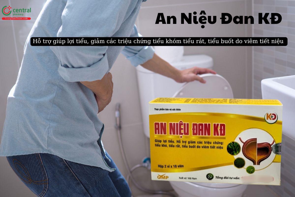 Viên uống An Niệu Đan KĐ giúp lợi tiểu, giảm tiểu buốt, tiểu rắt