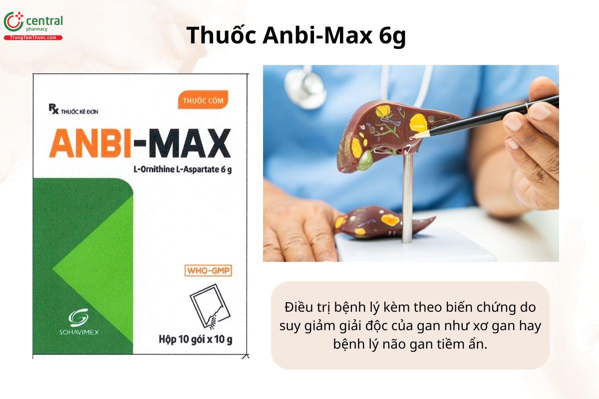 Chỉ định của thuốc Anbi-Max 6g