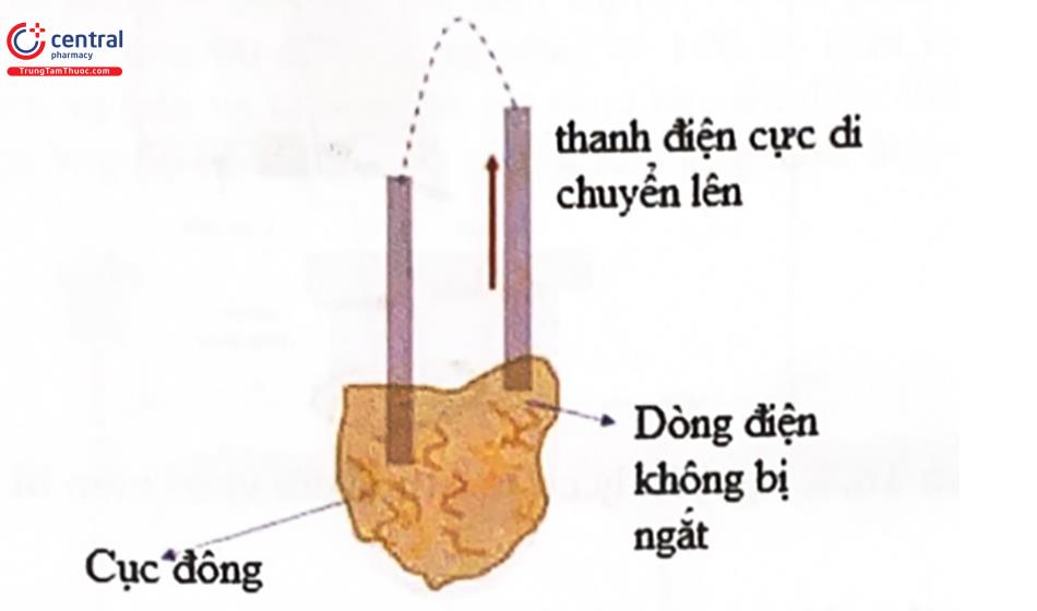 Nguyen-ly-co-hoc-dong-dien