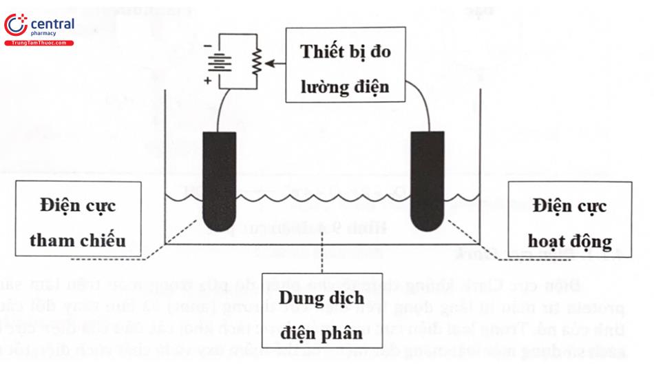 cấu tạo chung của tế bào điện hóa