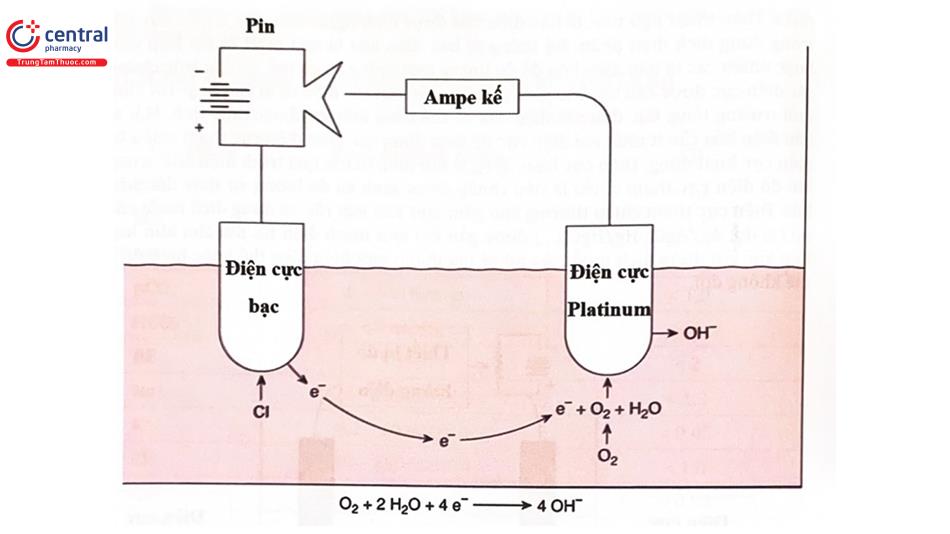 Điện cực pO2