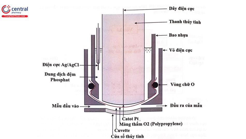 điện cực Clark