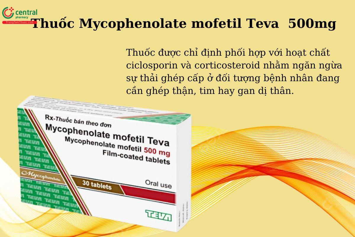 Thuốc Mycophenolate mofetil Teva 500mg là thuốc gì 