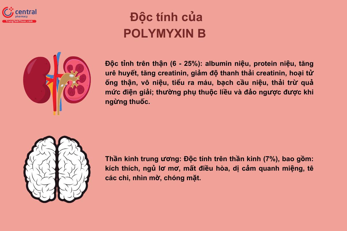 Độc tính của Polymyxin B
