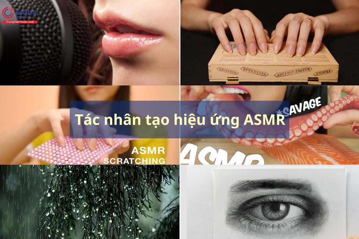 Hình ảnh minh họa các tác nhân tạo hiệu ứng ASMR