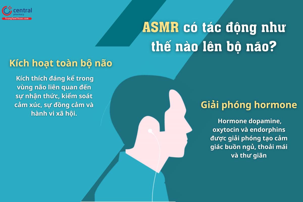 ASMR kích thích toàn bộ não bộ