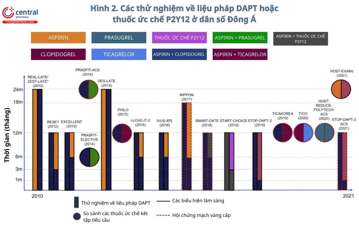 Hình 2. Các thử nghiệm về liệu pháp DAPT hoặc thuốc ức chế P2Y12 ở dân số Đông Á