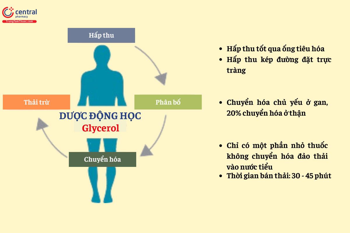 Dược động học của Glycerol