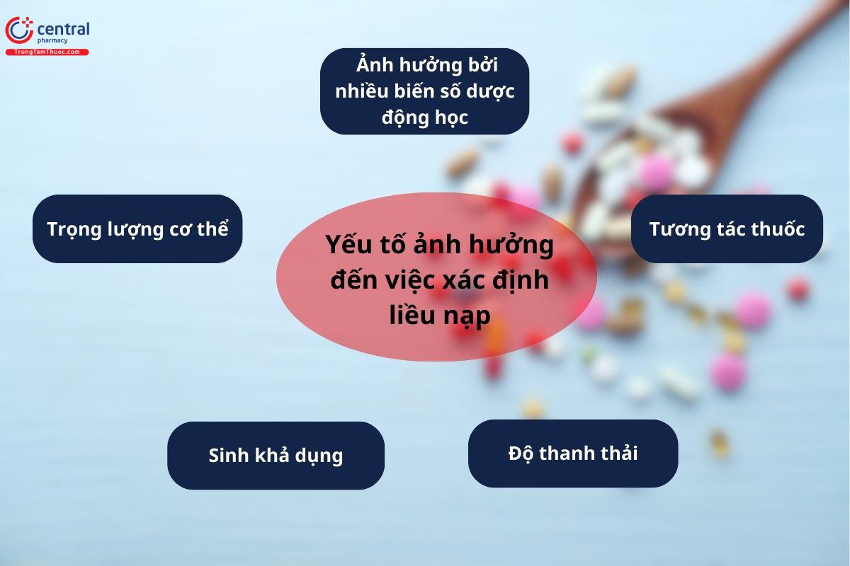 Yếu tố ảnh hưởng đến việc xác định liều nạp