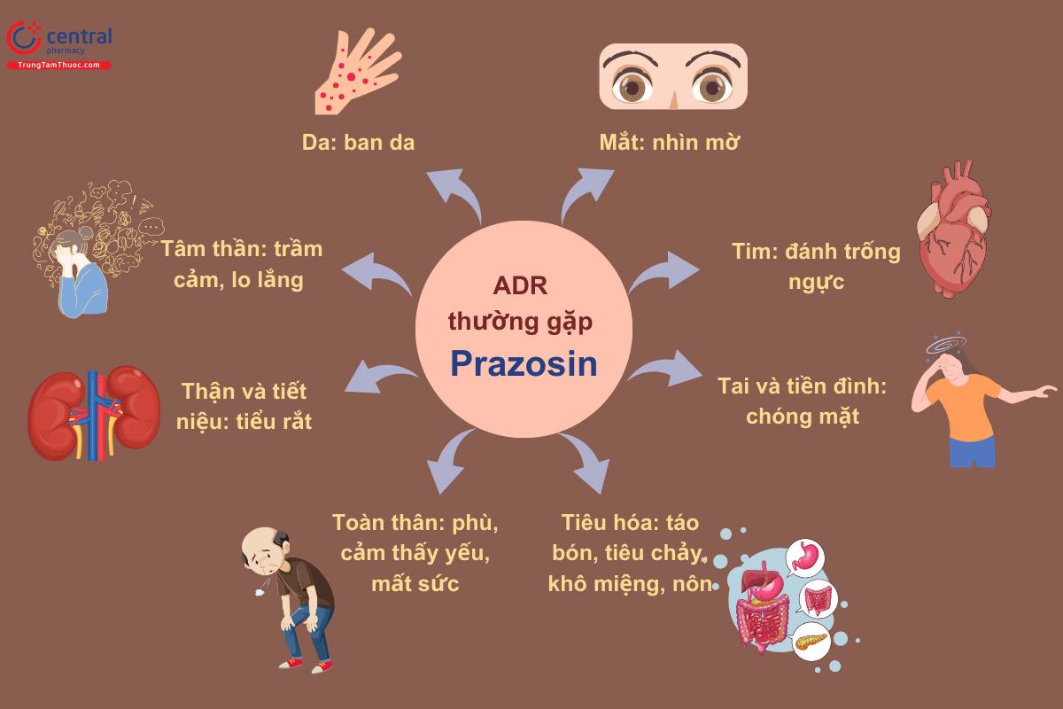 Tác dụng không mong muốn (ADR) thường gặp 