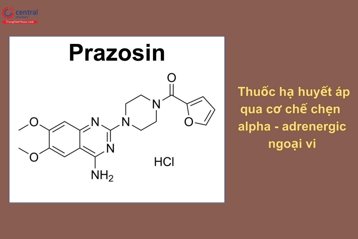 Prazosin - Thuốc chống tăng huyết áp, chẹn alpha, chọn lọc