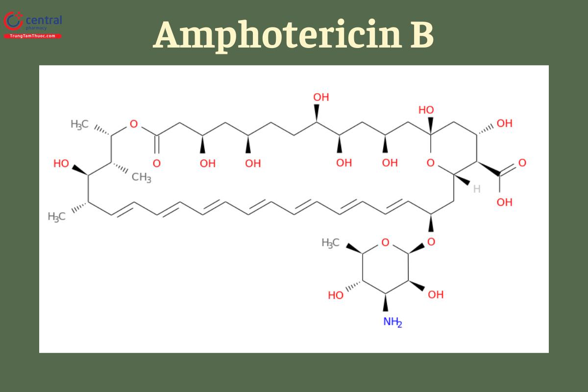 Công thức cấu tạo của Amphotericin B