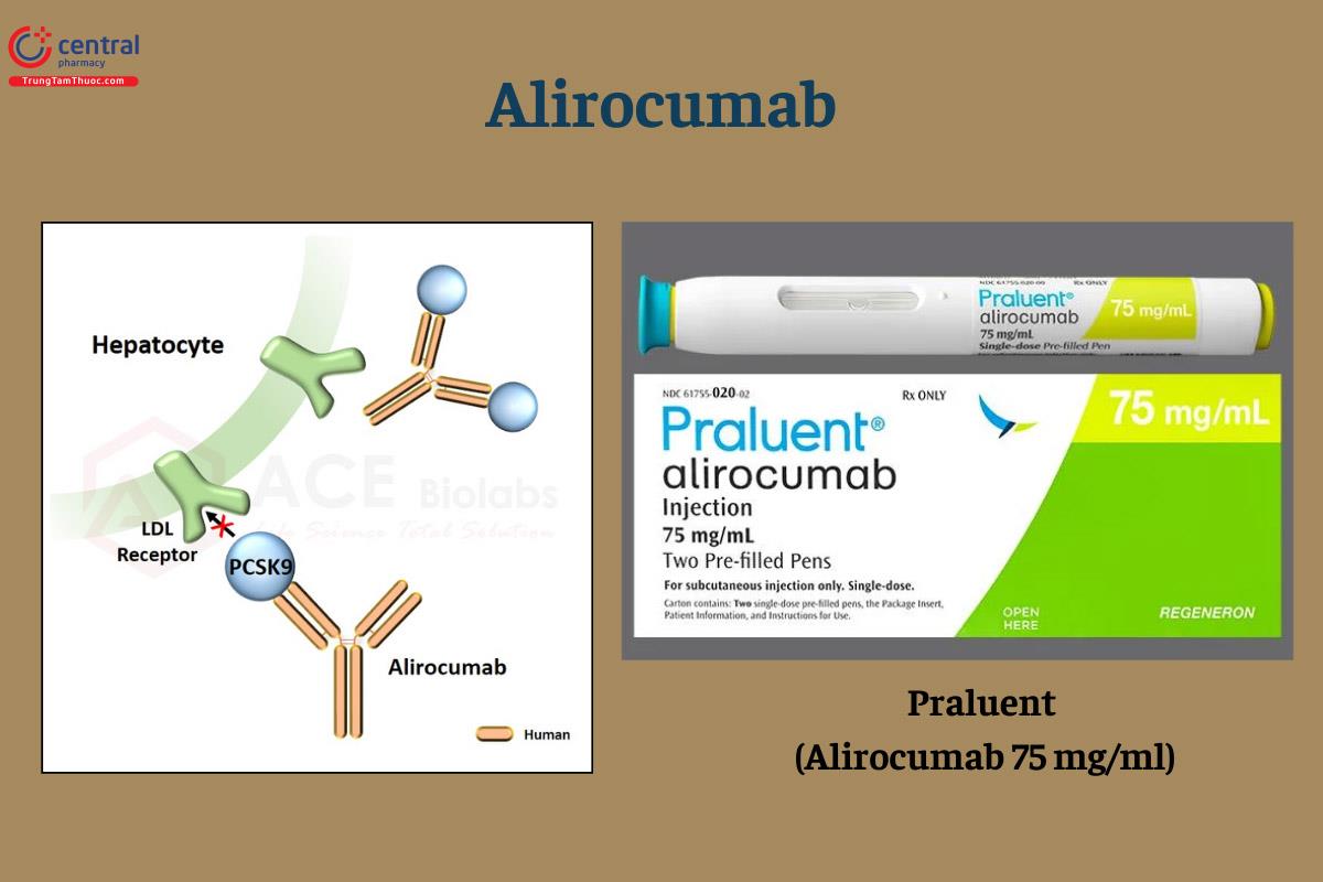 Alirocumab (Praluent)