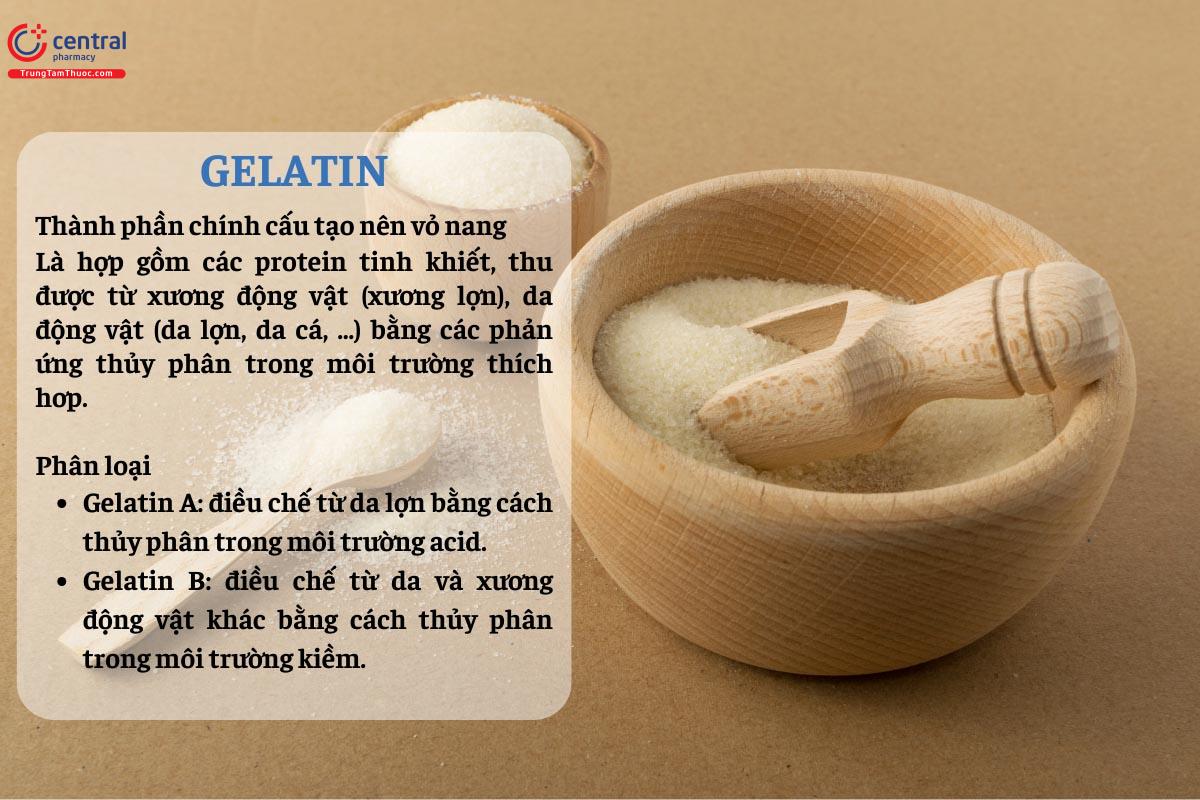 Gelatin - thành phần quan trọng để làm cho vỏ nang mềm