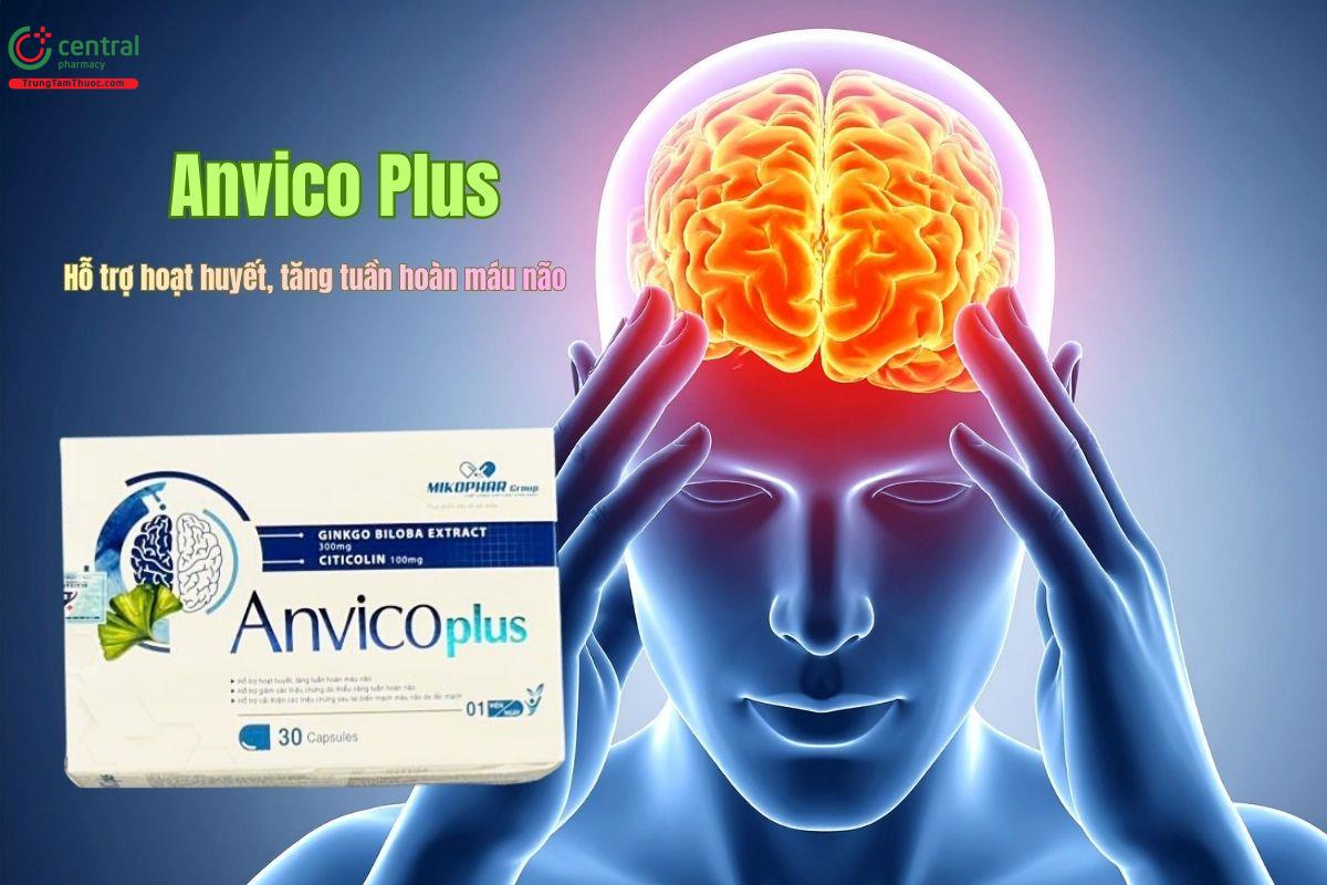 Anvico Plus giúp giảm triệu chứng thiểu năng tuần hoàn não