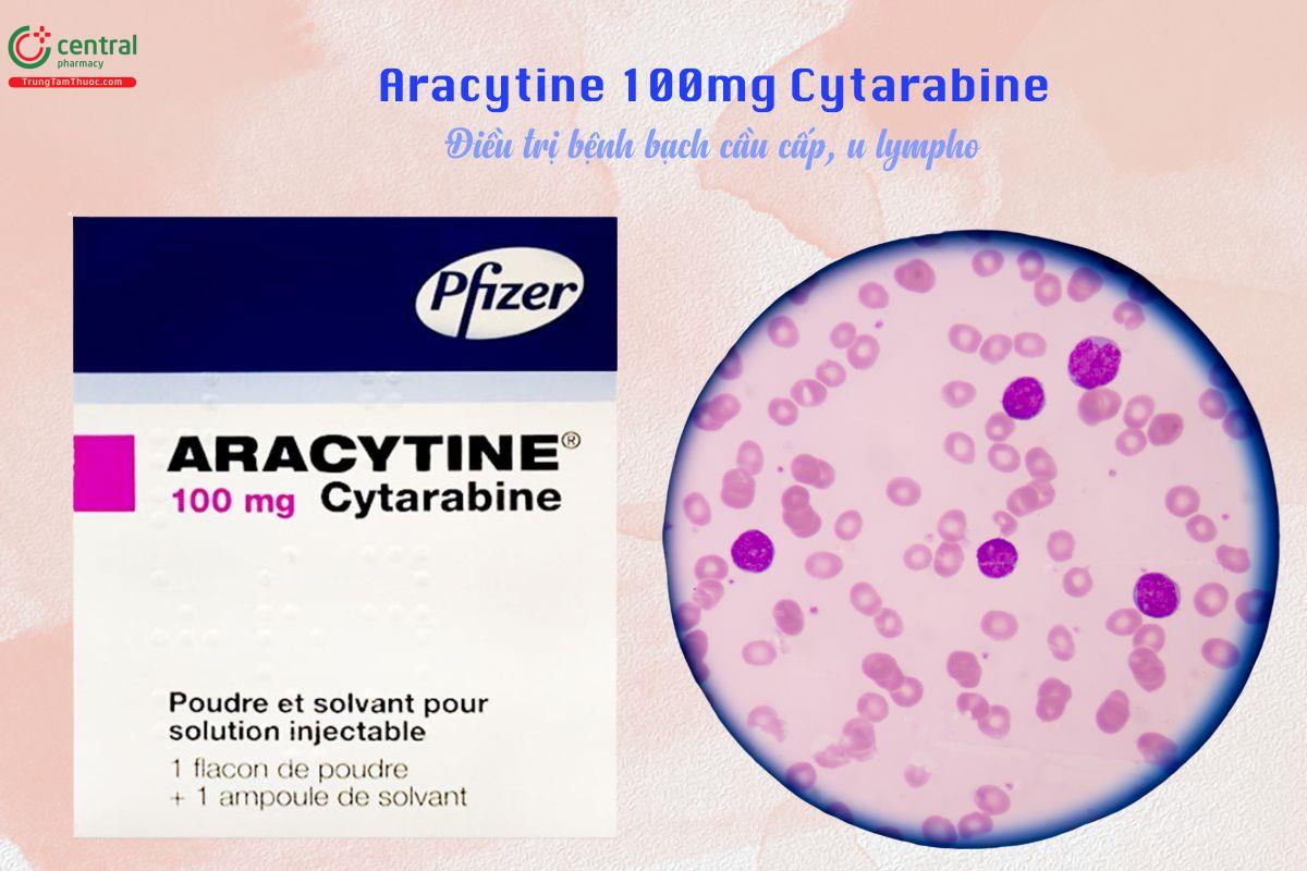 Thuốc Aracytine 100mg Cytarabine điều trị bệnh bạch cầu cấp, u lympho