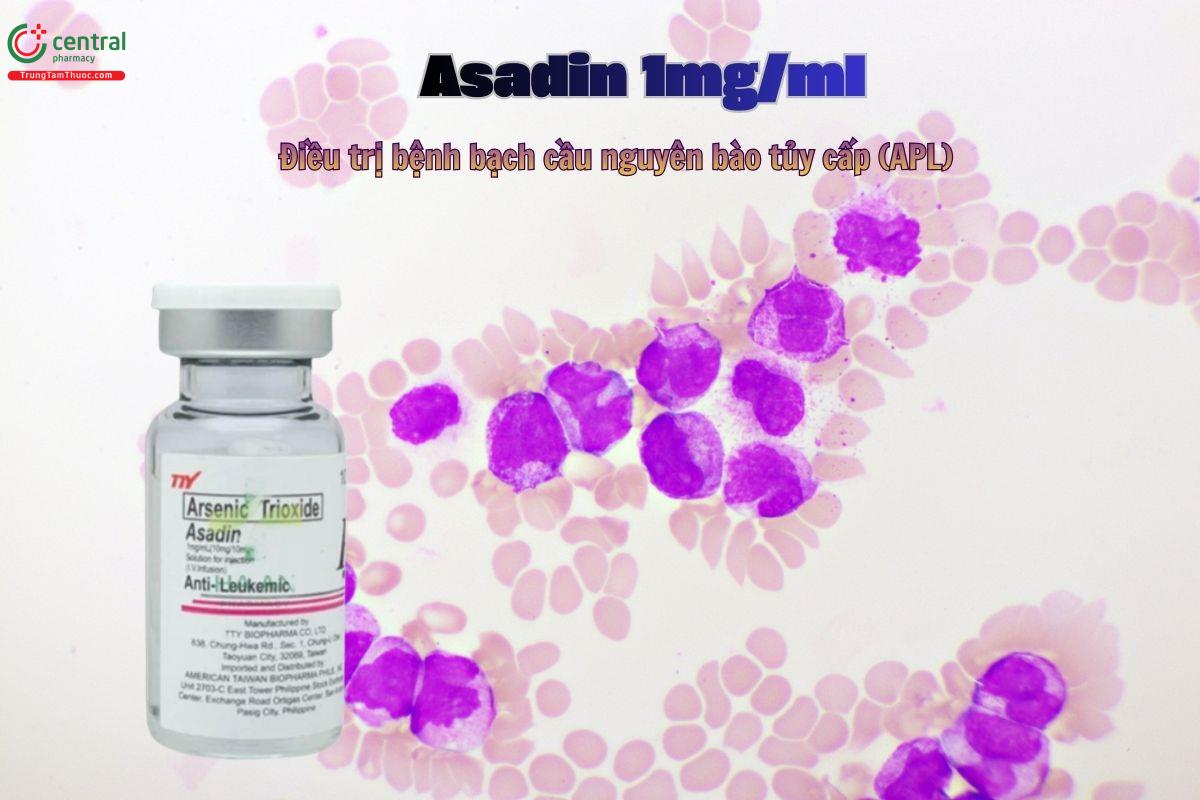 Thuốc Asadin 1mg/ml điều trị bệnh bạch cầu nguyên bào lympho cấp tính