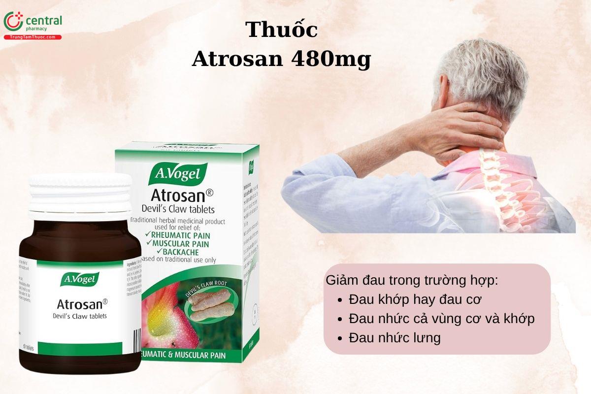 Chỉ định của thuốc Atrosan 480mg
