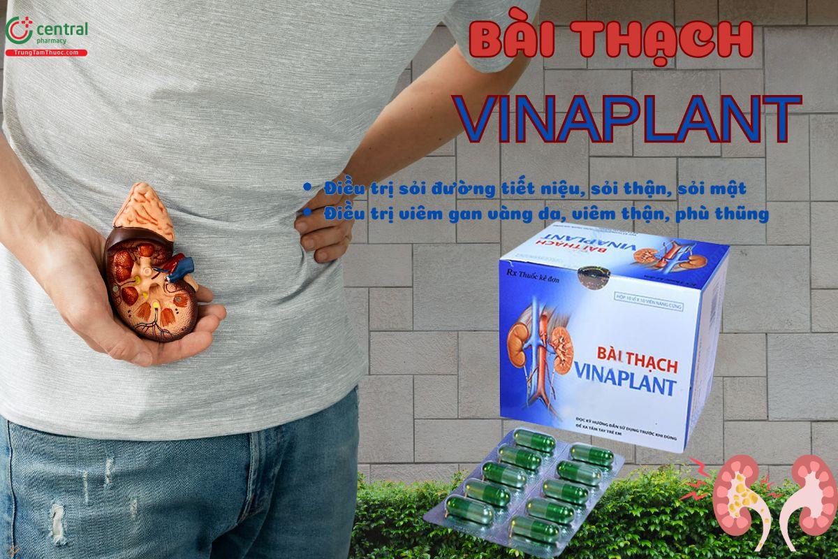 Thuốc Bài Thạch Vinaplant có tác dụng điều trị sỏi thận, sỏi mật, sỏi tiết niệu